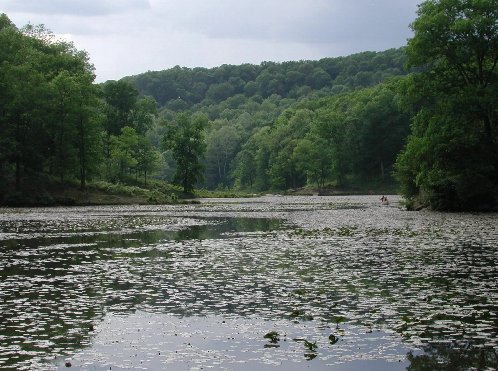 Lake with water lilies below steep forested hills