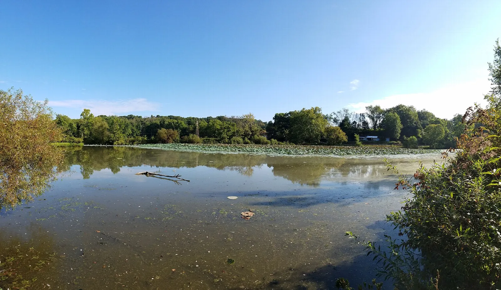 Still lake with reflections and trees along the far shore