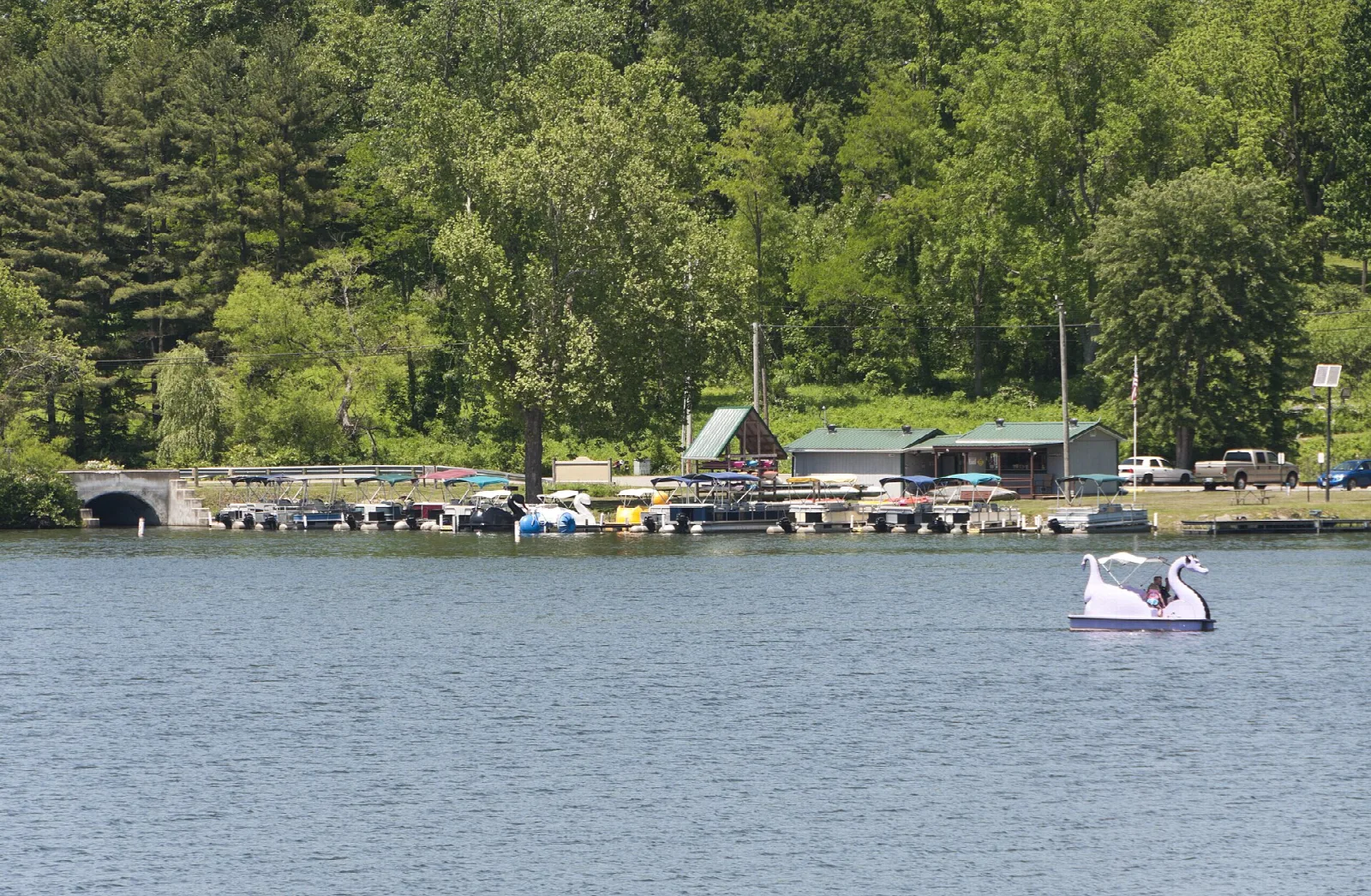 Boat docks and buildings on the shore with a swan pedal boat on the water
