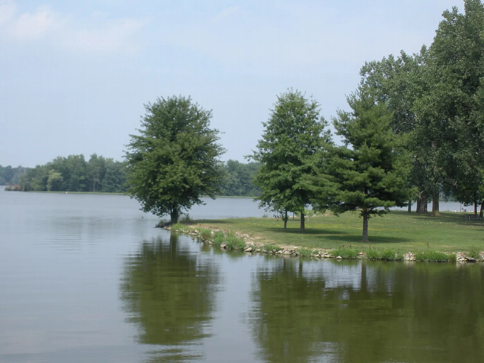 Lake with a grassy shore and trees reflected in the water
