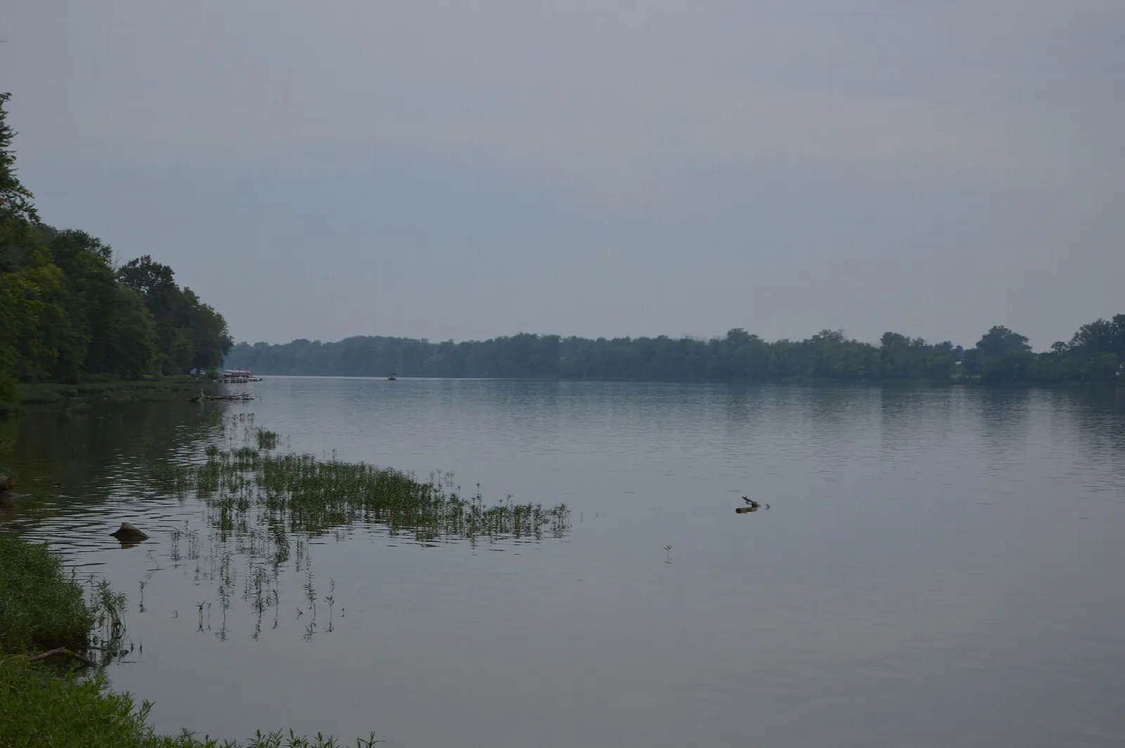 Wide river with grassy banks and trees, seen from the harbor
