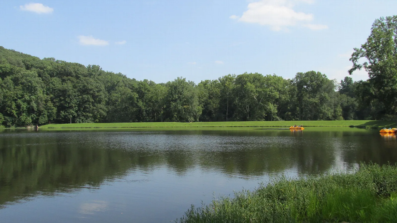 Lake with forested hills across the water and grass in the foreground