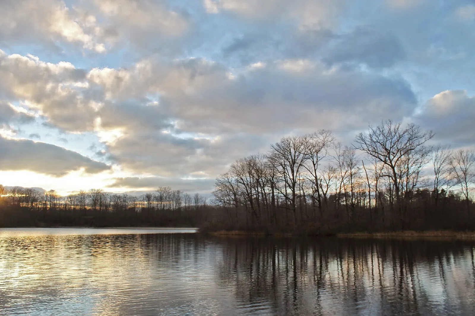 Sunset sky reflected in a lake with bare trees along the shore
