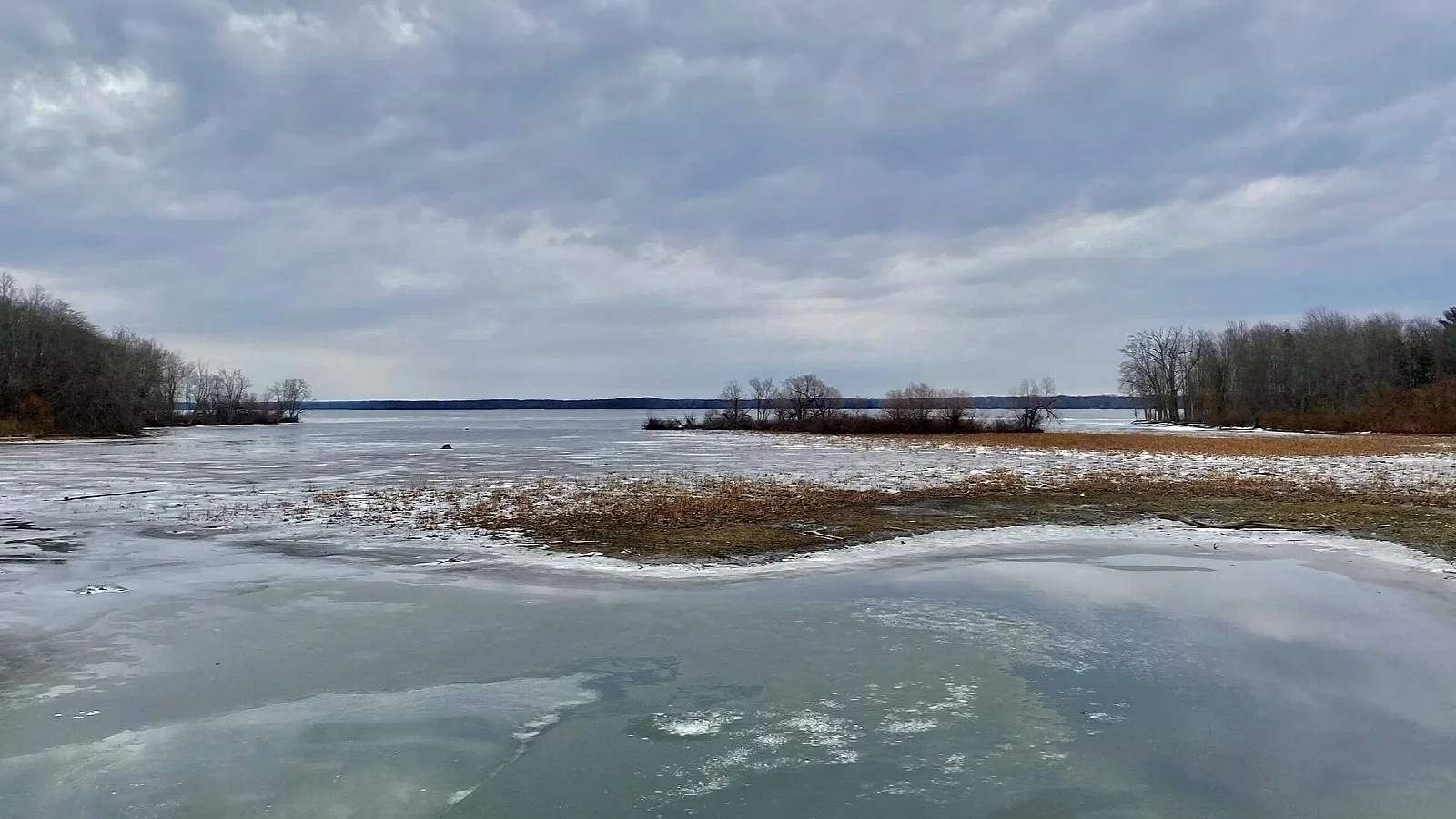 Wide partly frozen lake with grassy marsh and distant trees under cloudy sky