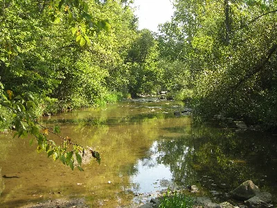 Sycamore State Park