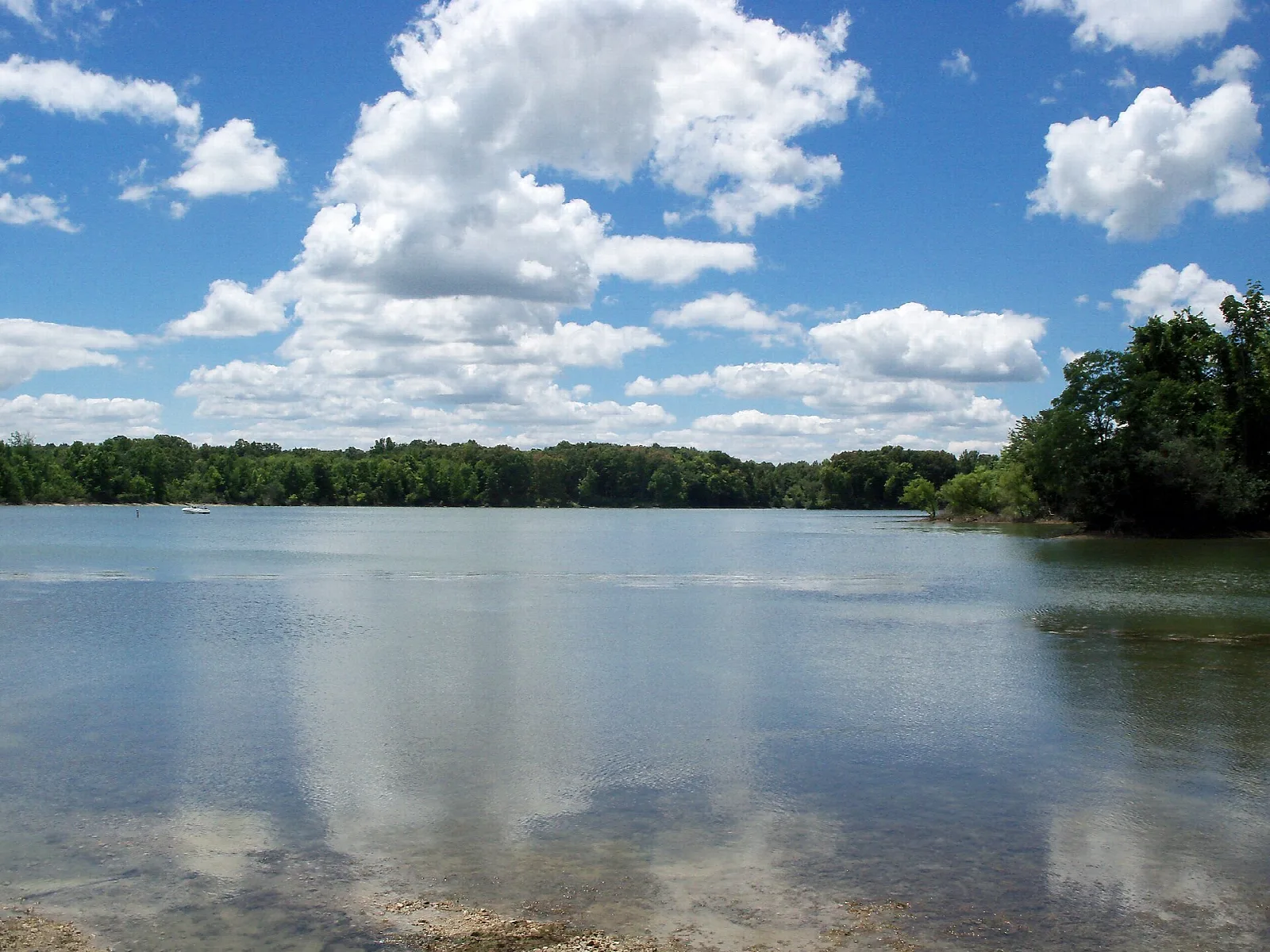 Wide lake with a sandy shore and trees under a cloudy blue sky