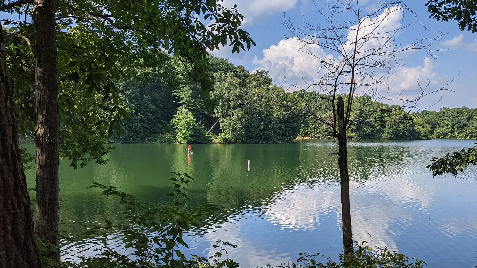 Green lake framed by trees and reflecting clouds