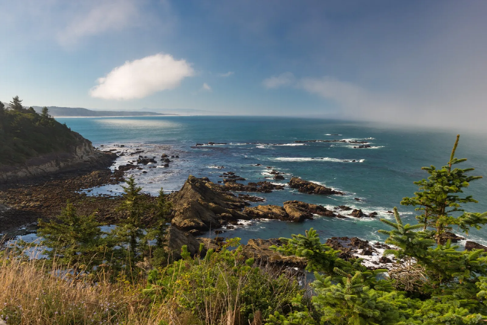 Cape Arago