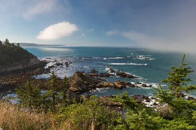 Cape Arago State Park