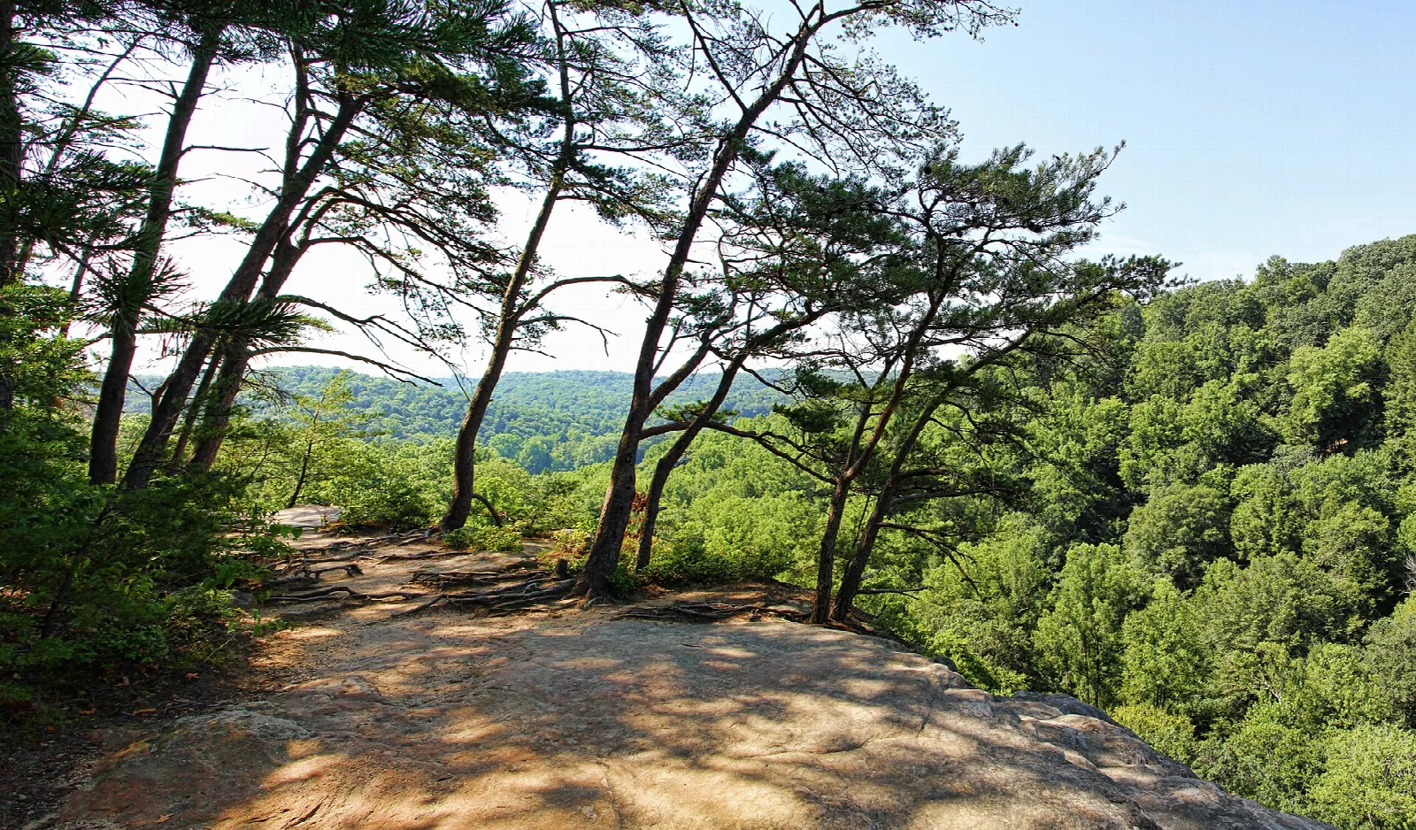 Sandy rim trail through pines above a forested valley