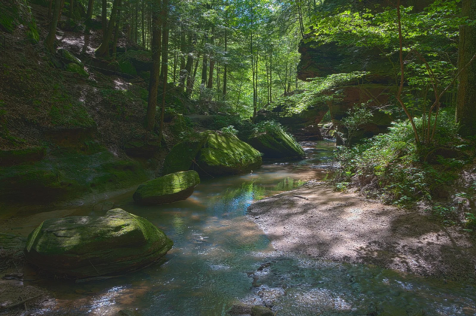 Rocky stream running through a mossy wooded gorge