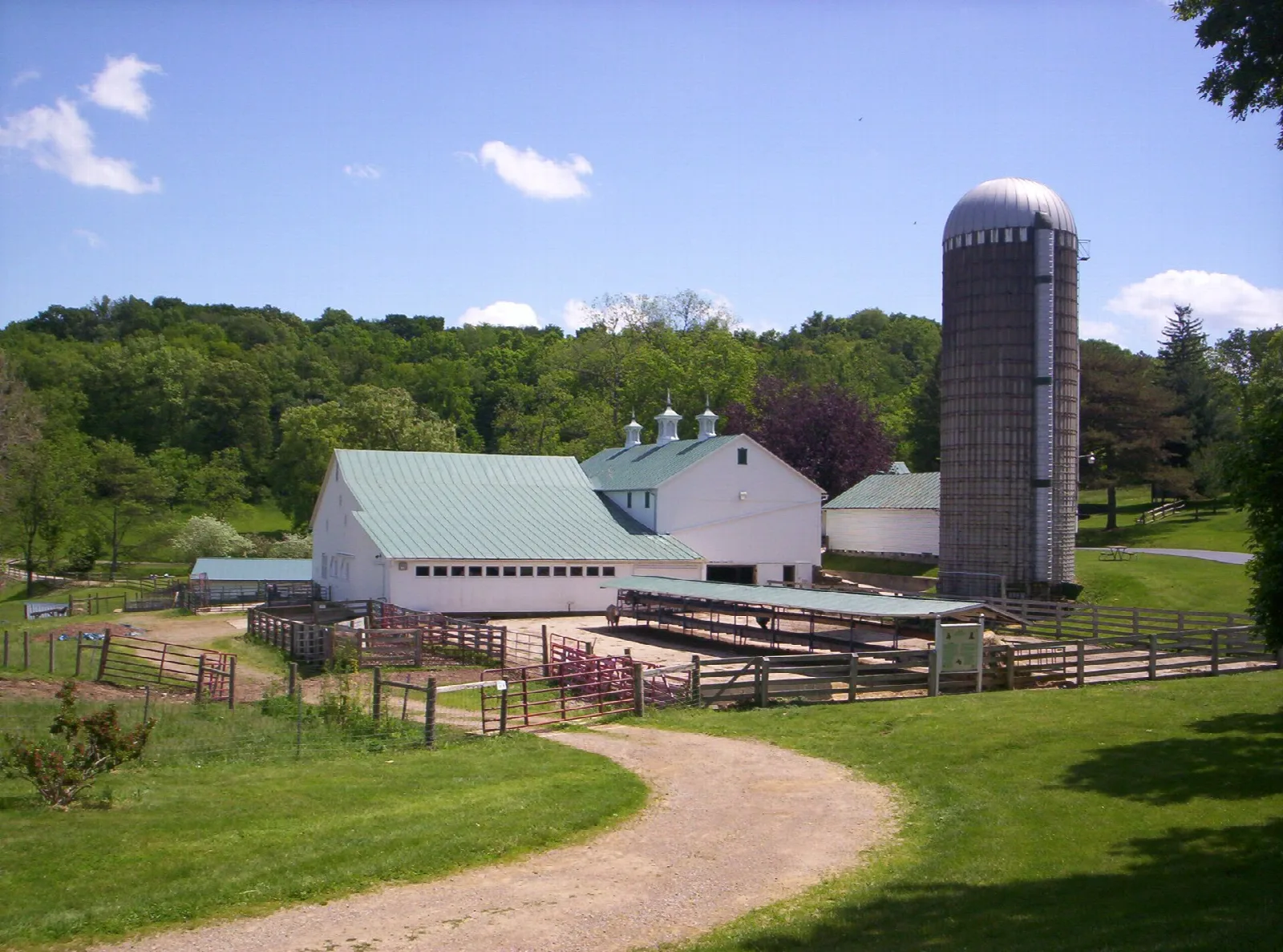 White dairy barn and silo with a fenced yard and gravel drive
