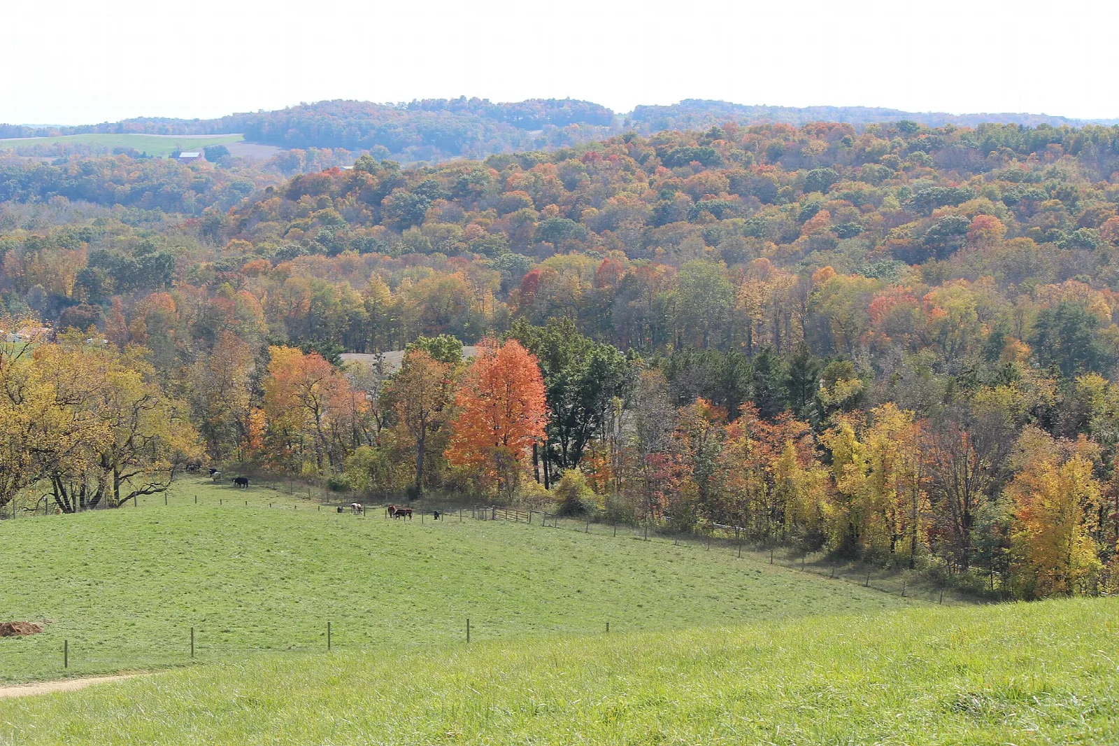 Autumn-colored hills and green pasture seen from Mt. Jeez