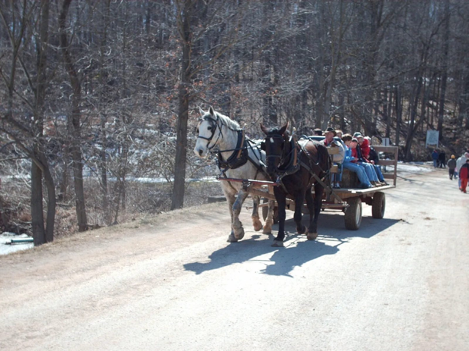 Draft horses pulling a wagon of riders along a dirt road
