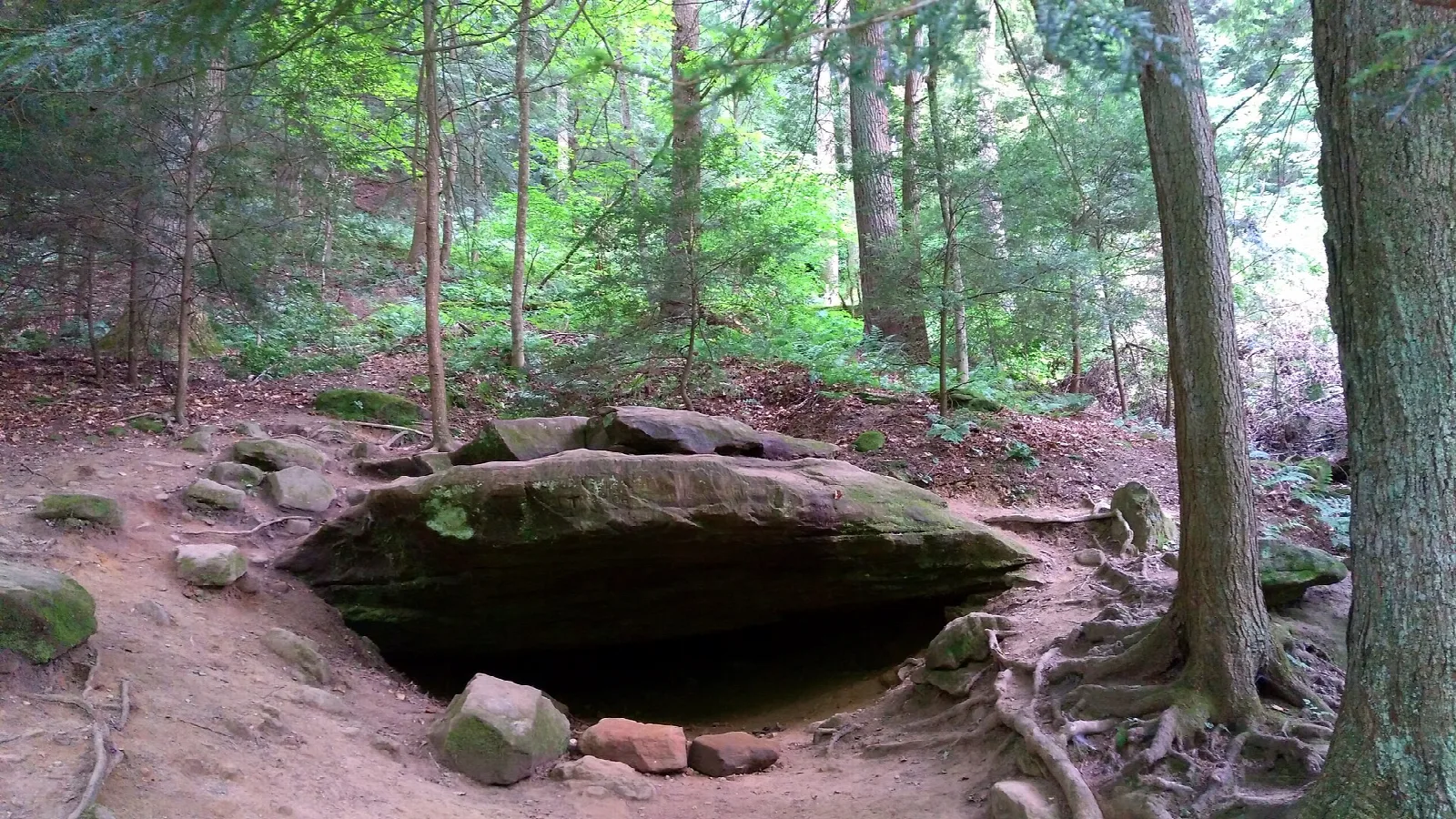 Rock shelter under big trees on a wooded trail