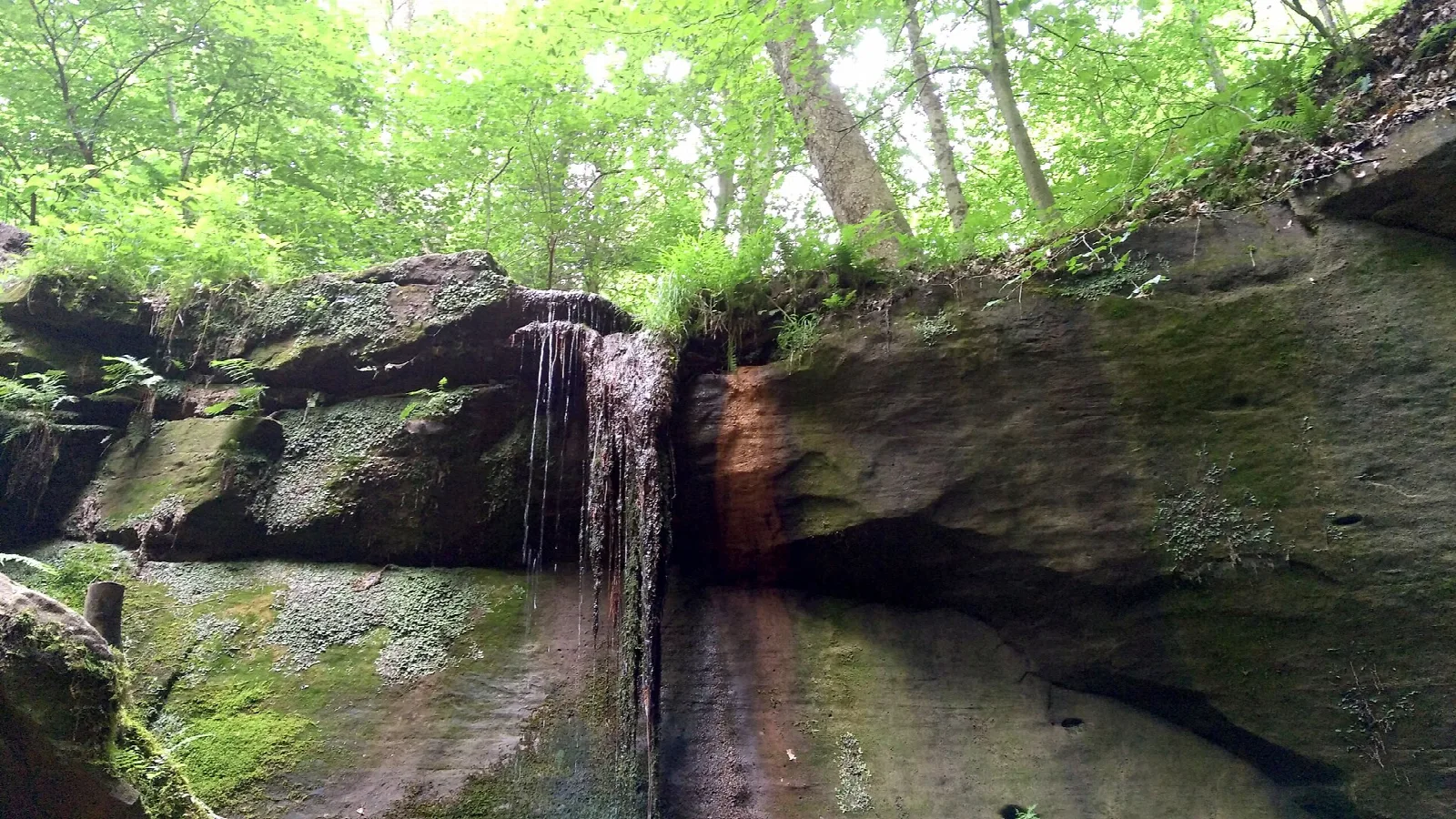Small waterfall trickling over a mossy rock ledge in green woods