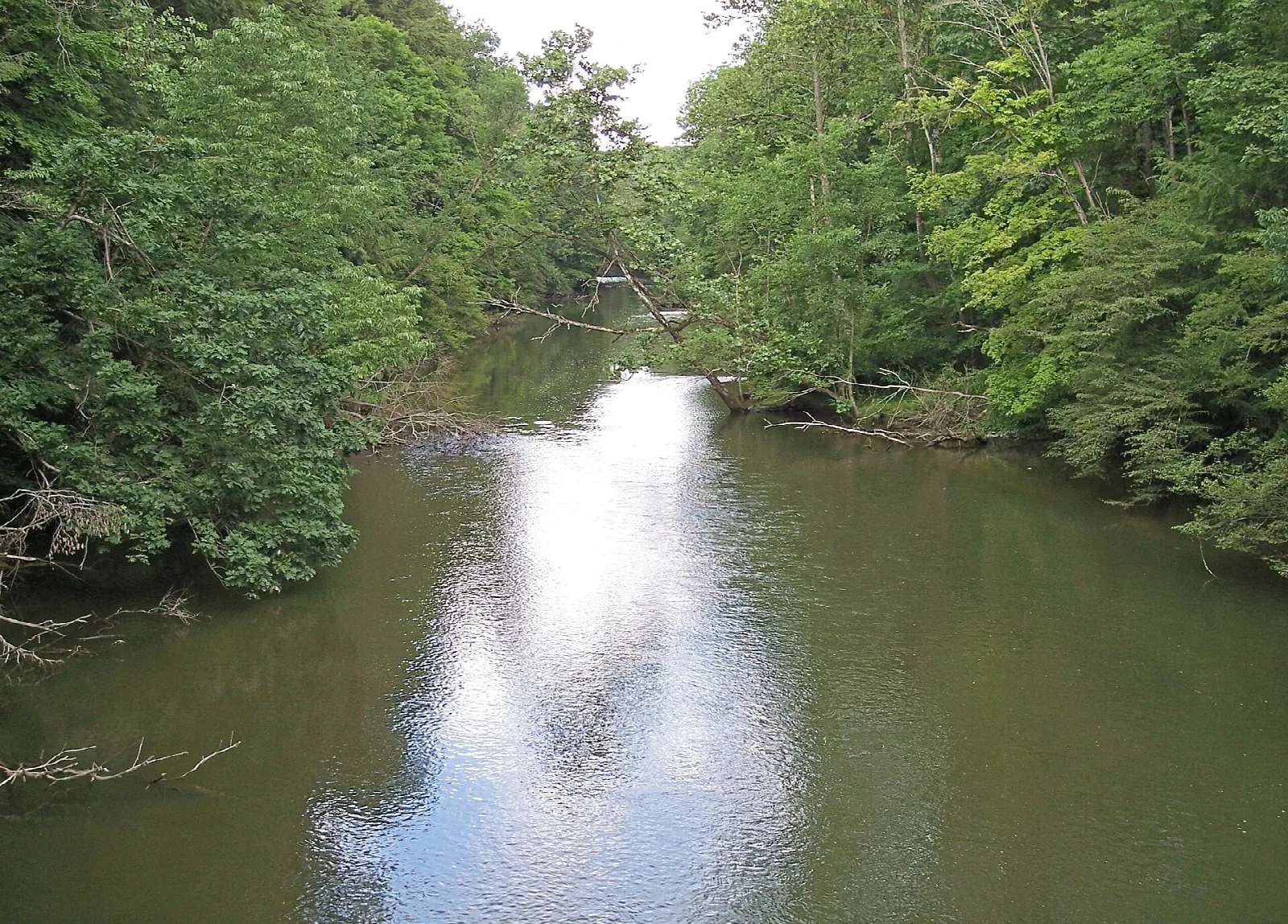 Calm river between green wooded banks