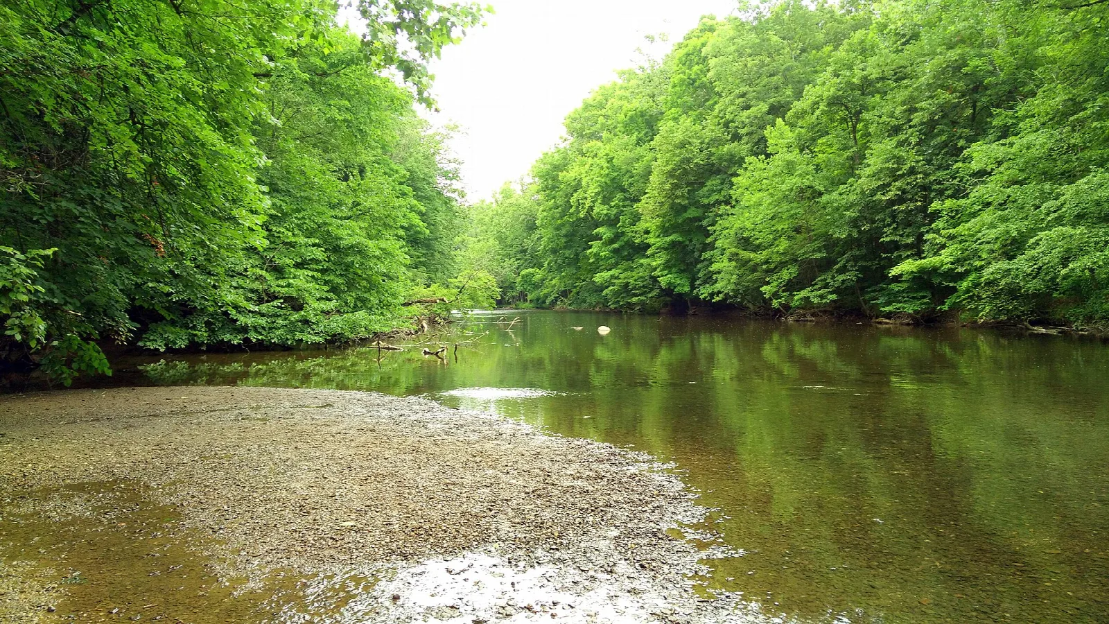 Clear Fork River with a gravel bar and green trees on both banks