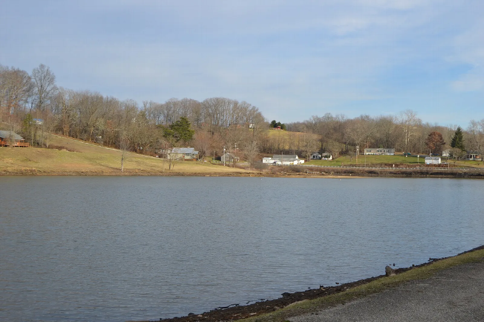 Lake and grassy bank with houses and trees under a gray sky
