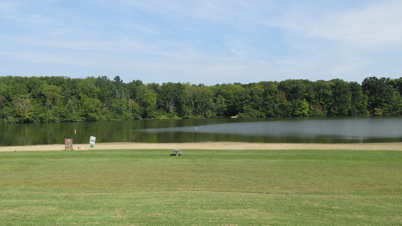 Lake shore with a grassy lawn and tree line under a blue sky