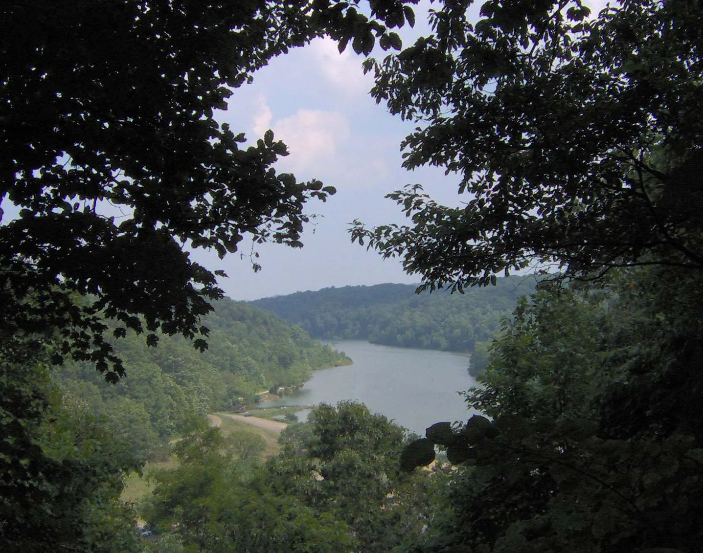 View down over a wooded valley and lake through tree branches