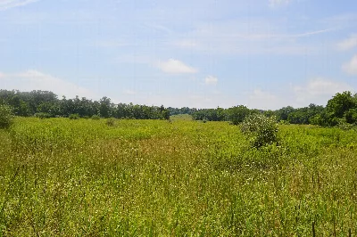 Rocky Fork State Park