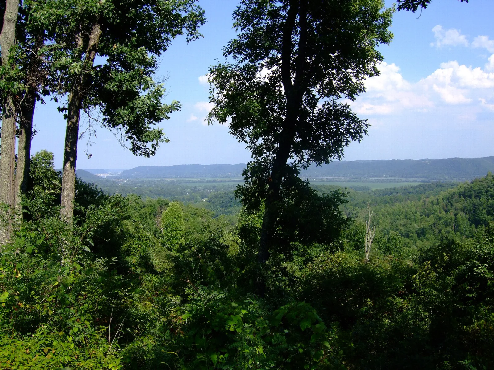 Forested ridges and a river valley seen through tree branches