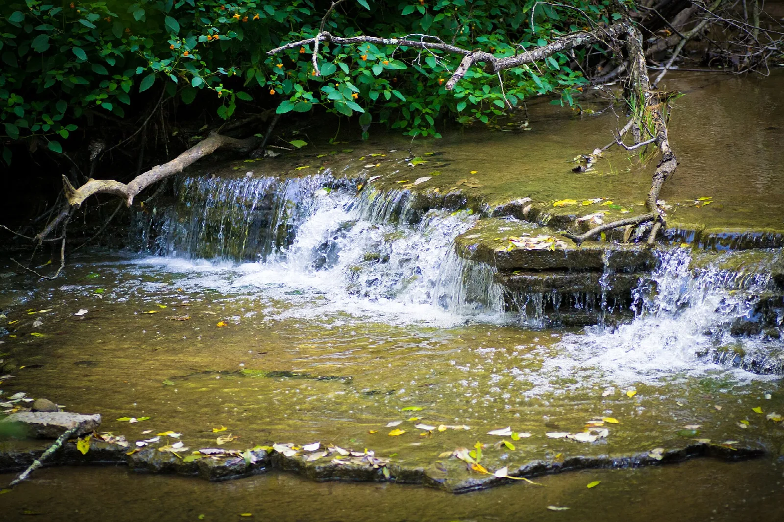 Small waterfall over flat rock ledges into a clear creek pool
