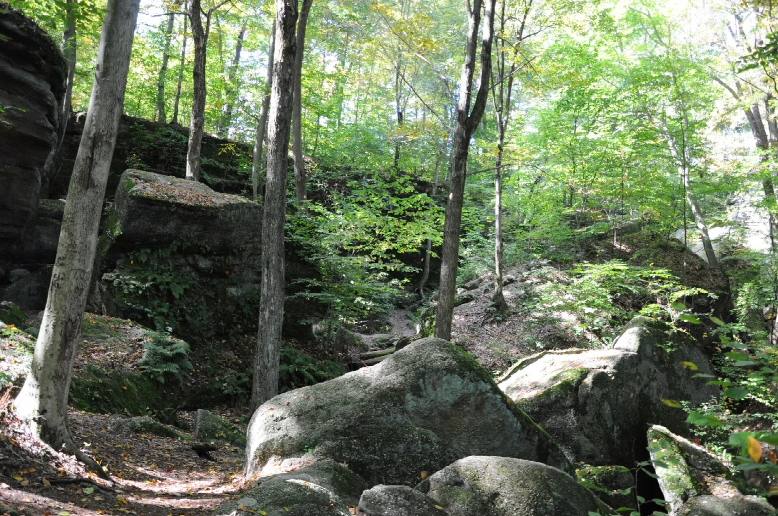 Large boulders and rock ledges among tall trees on a wooded trail