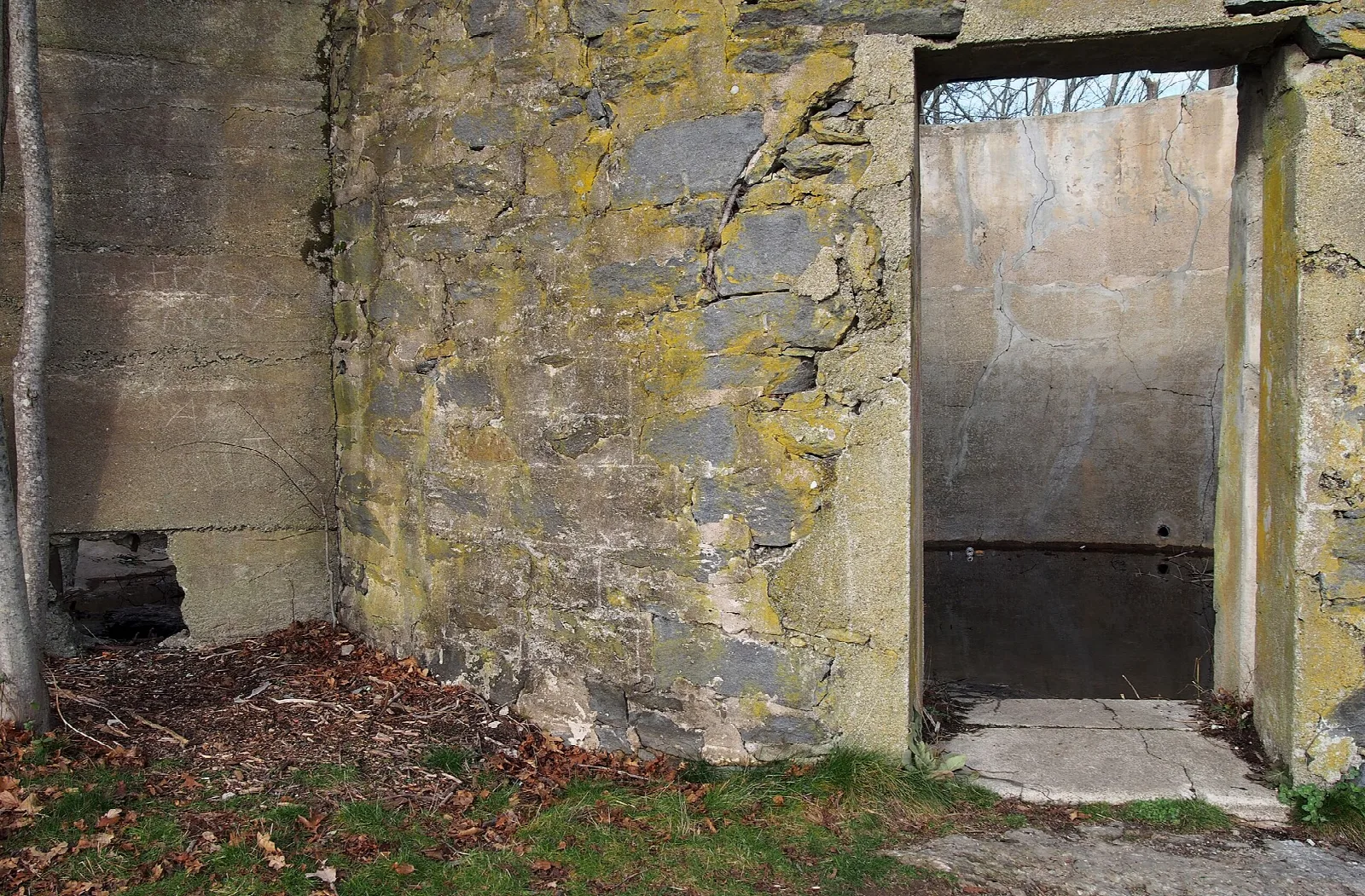 Mossy concrete ruin with a dark doorway