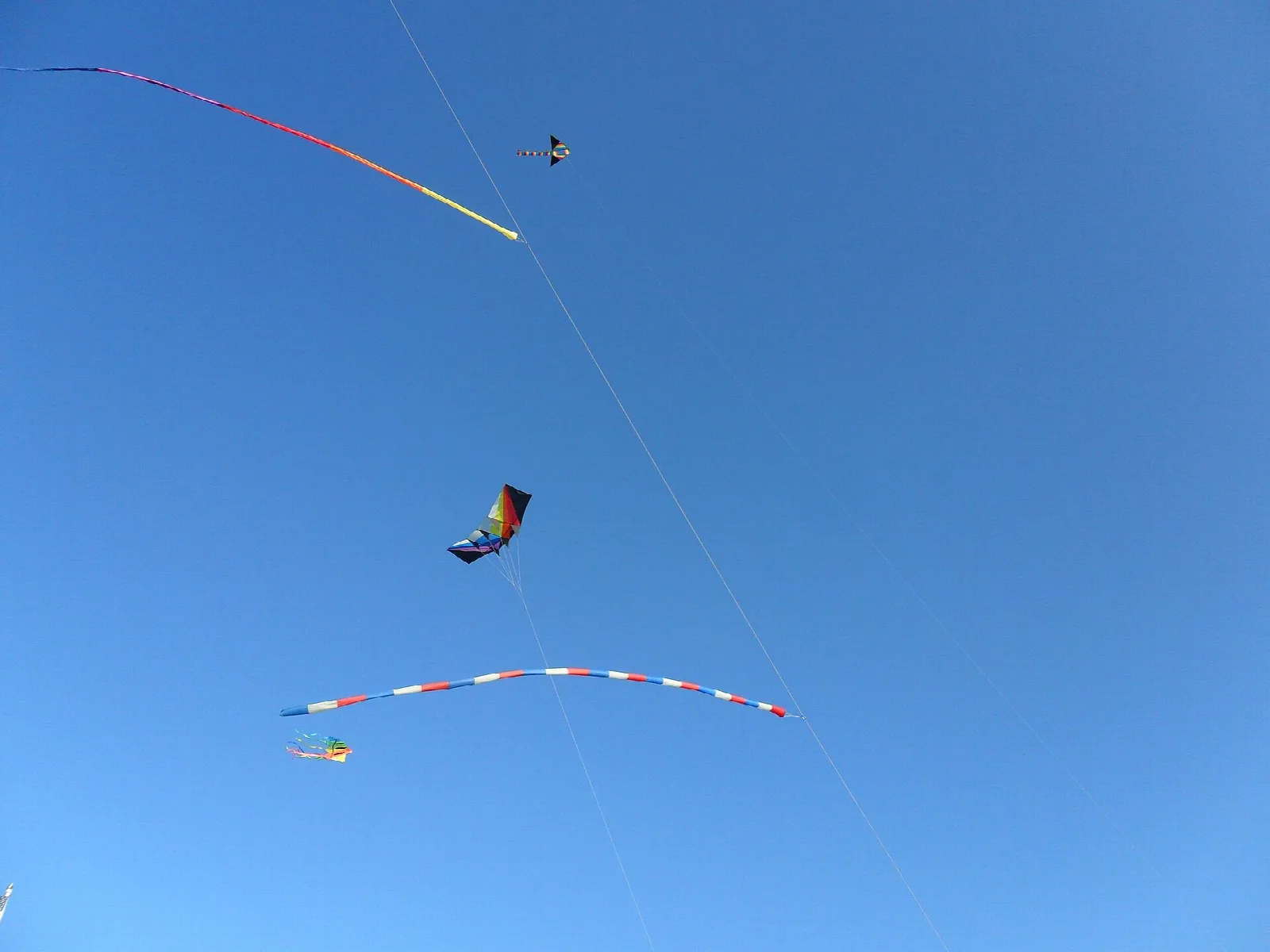 Colorful kites flying against a clear blue sky