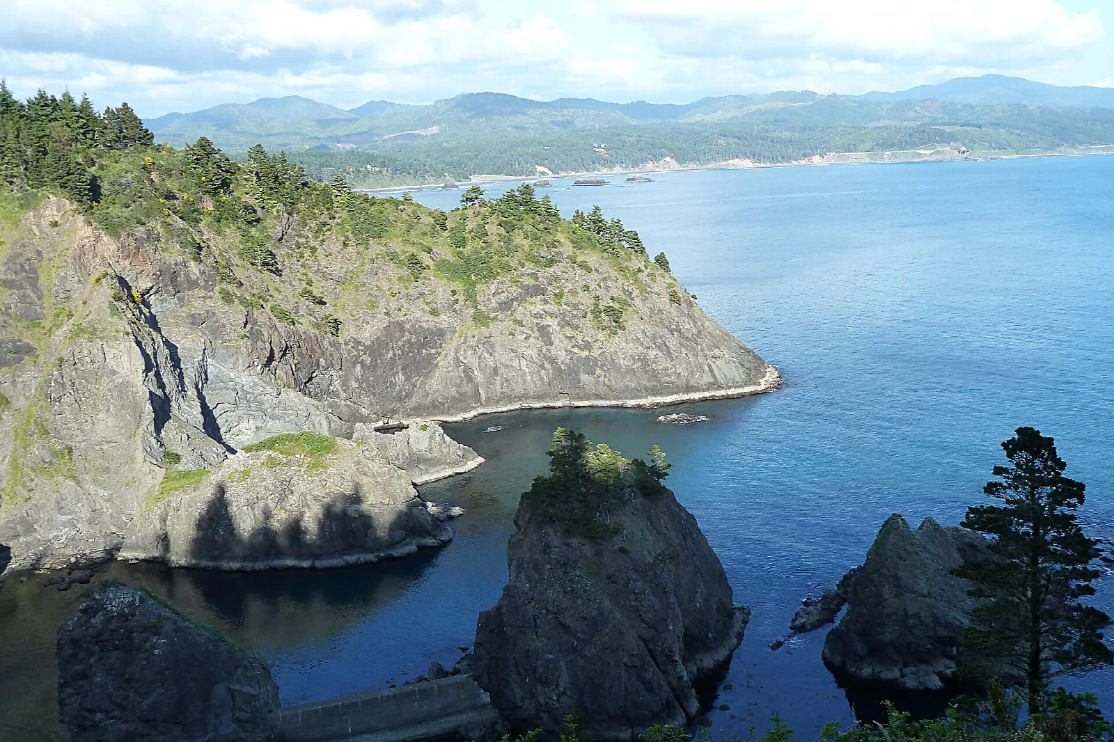 Port Orford Heads