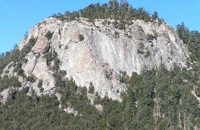 San Bernardino National Forest