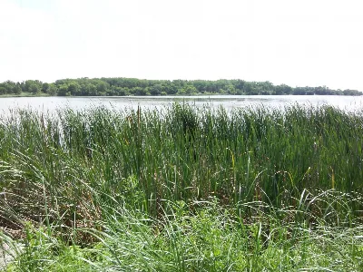 Oakwood Lakes State Park