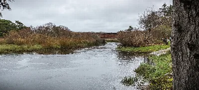 Floras Lake State Natural Area
