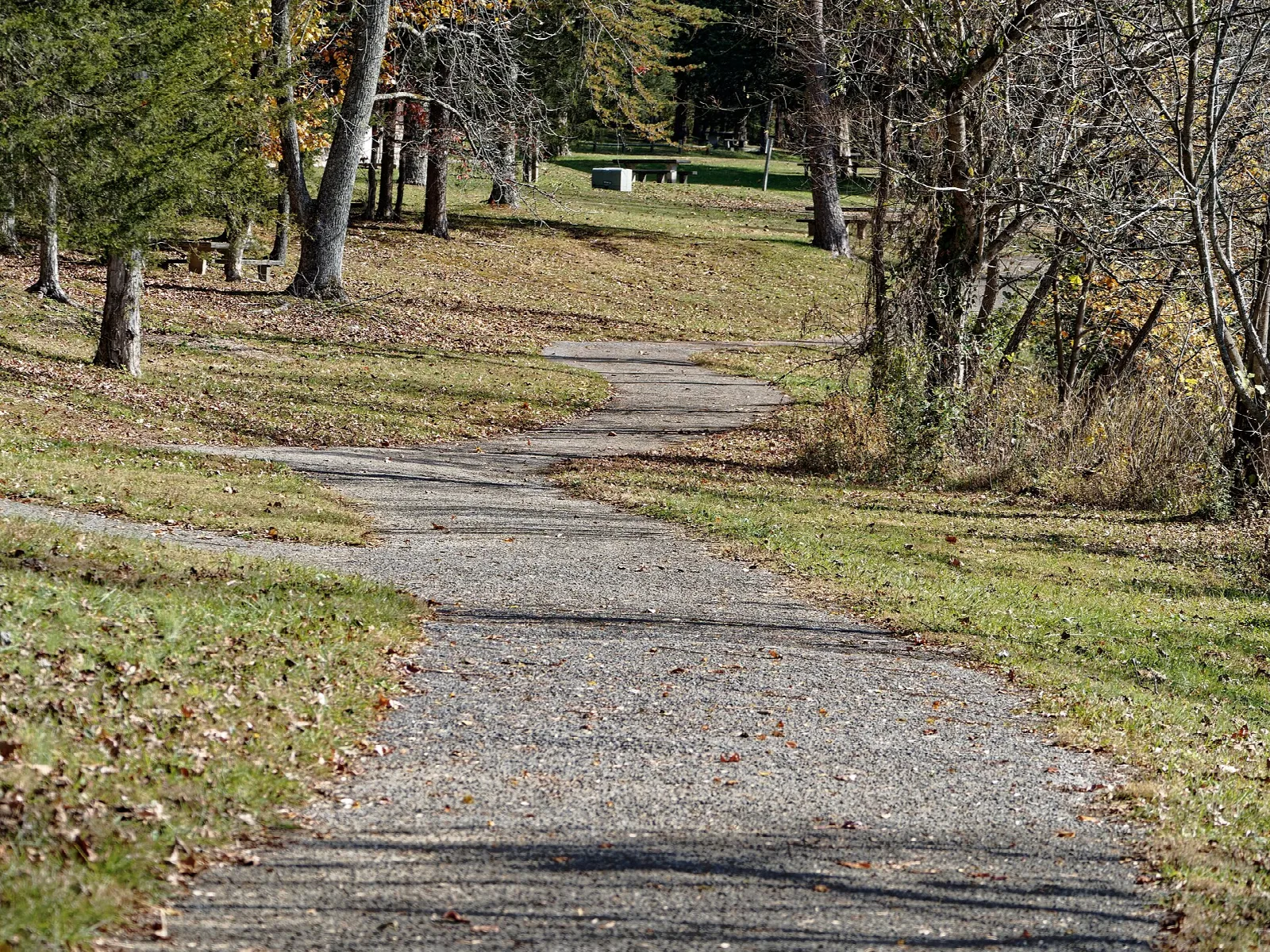 Gravel walking path winding through trees and grass
