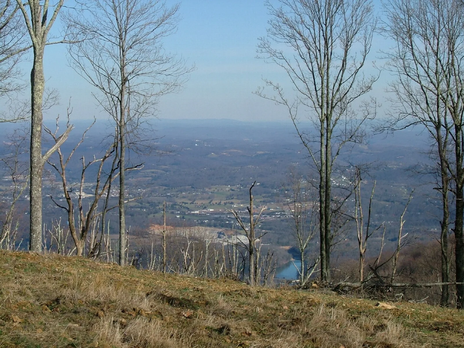 Valley and river seen through bare trees from a mountain overlook