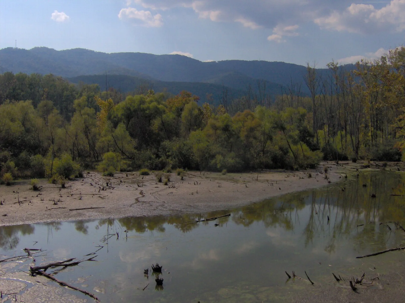 Muddy lakeshore with green trees and mountains in the distance