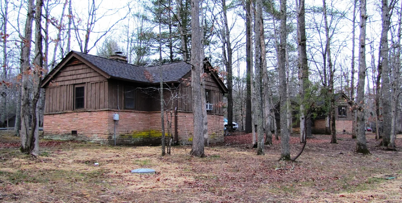 Rustic brick and wood cabin among bare trees