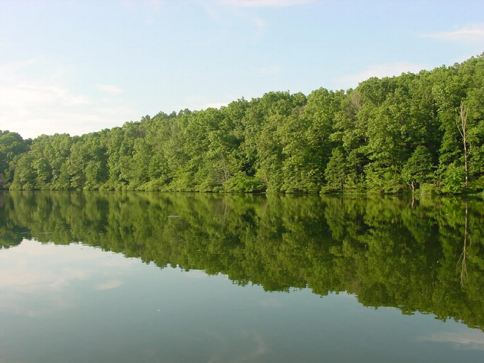 Calm lake with forested shoreline reflected in the water