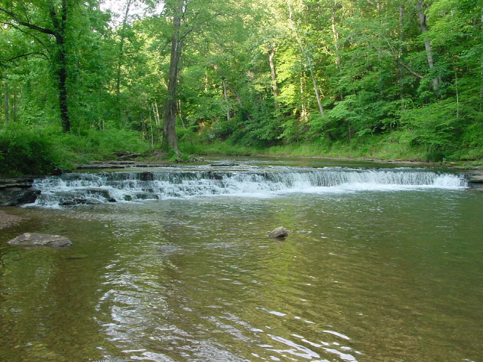 Low waterfall crossing a wide creek with green trees along the bank