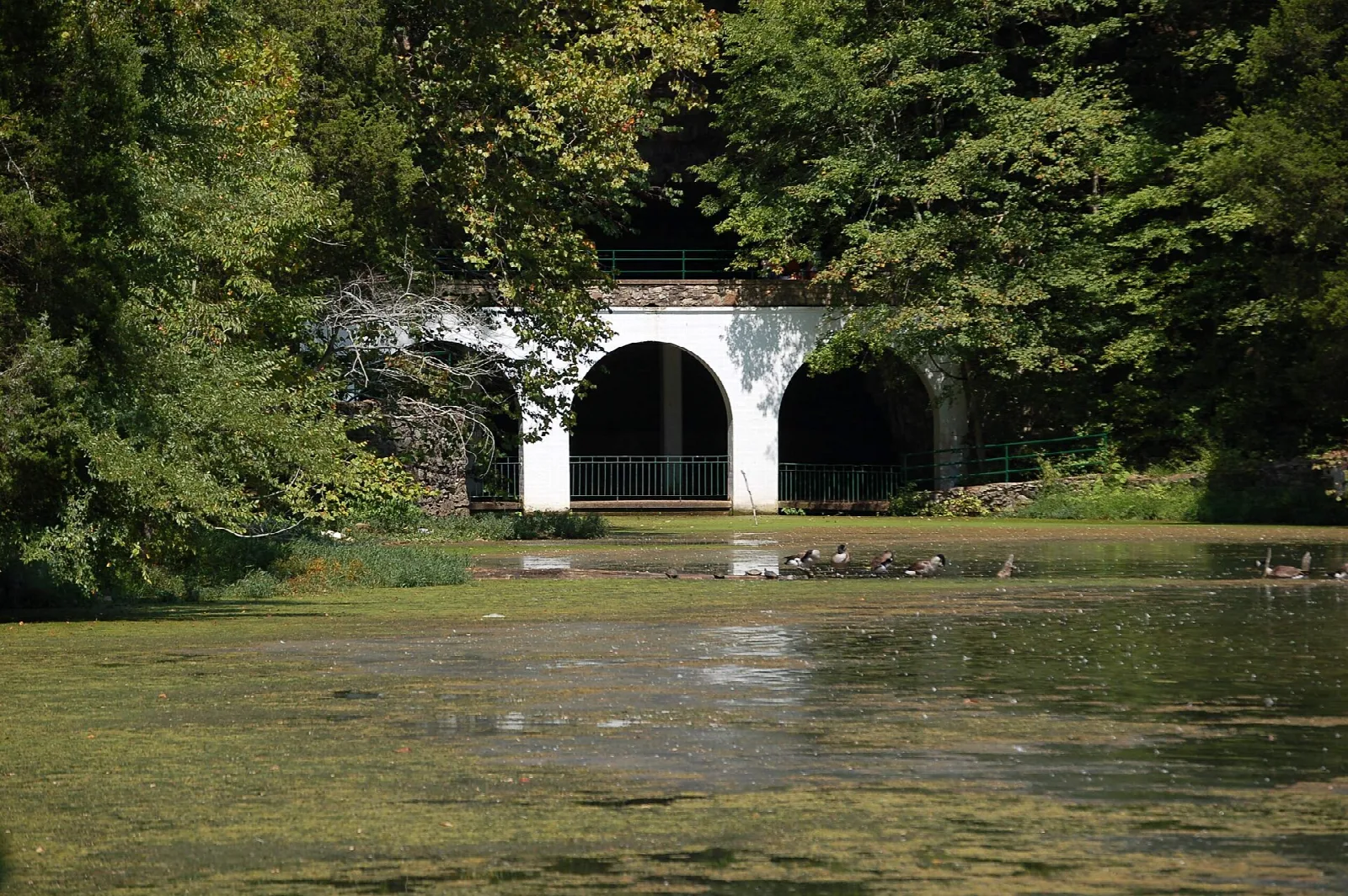White stone arch at the edge of a pond ringed by dense trees