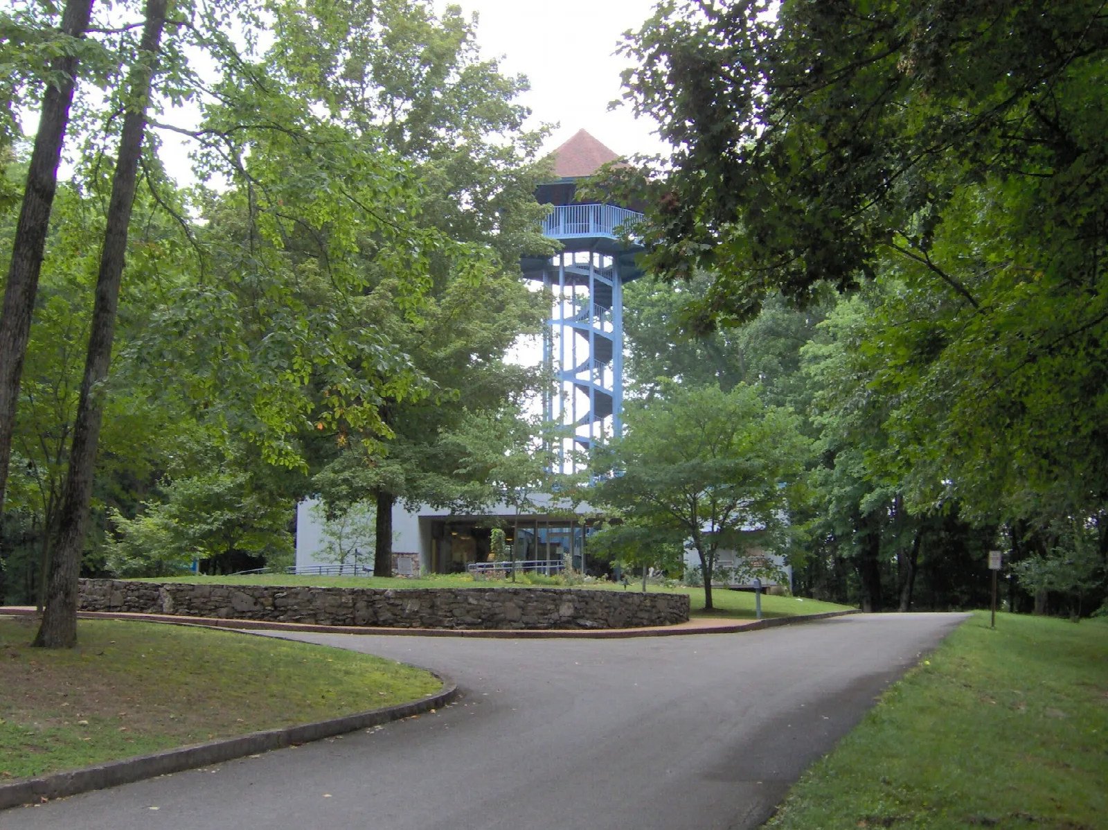 Blue observation tower rising above trees beside a curving drive