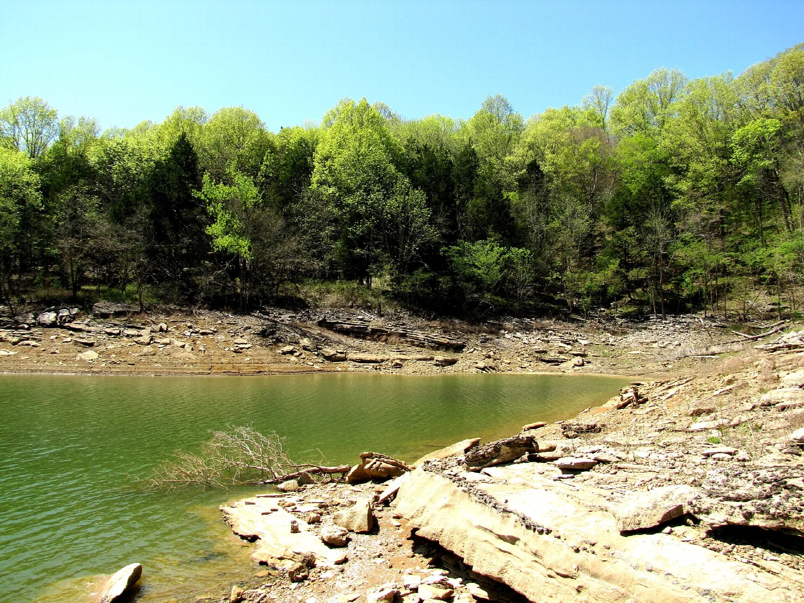 Green lake alcove with rocky shore and forested banks