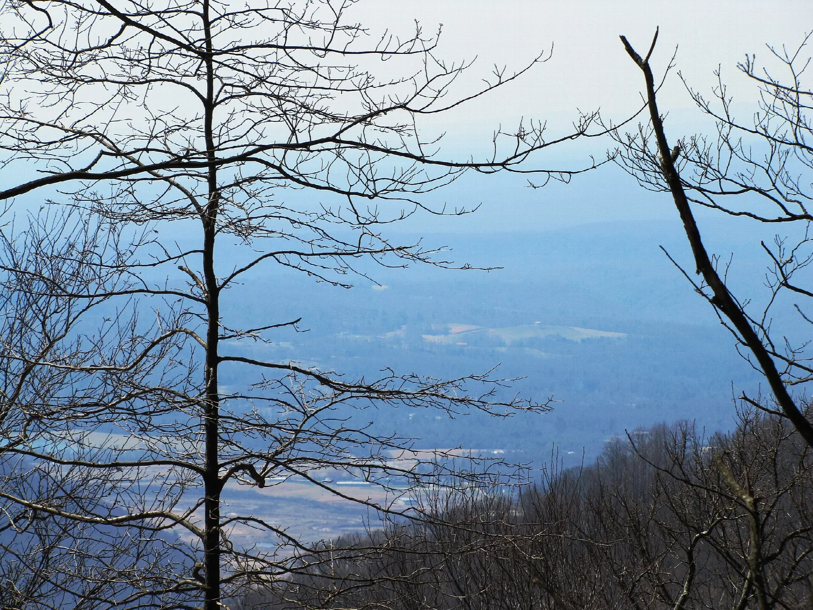 Wide valley and ridgeline seen through bare trees from a rock top