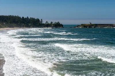 Yoakam Point State Natural Site