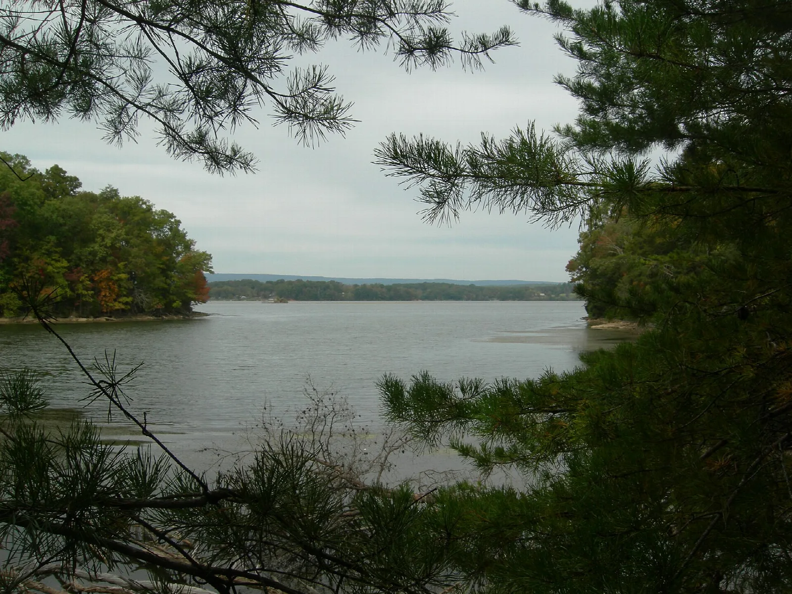 Wide gray lake framed by pine branches with wooded shoreline