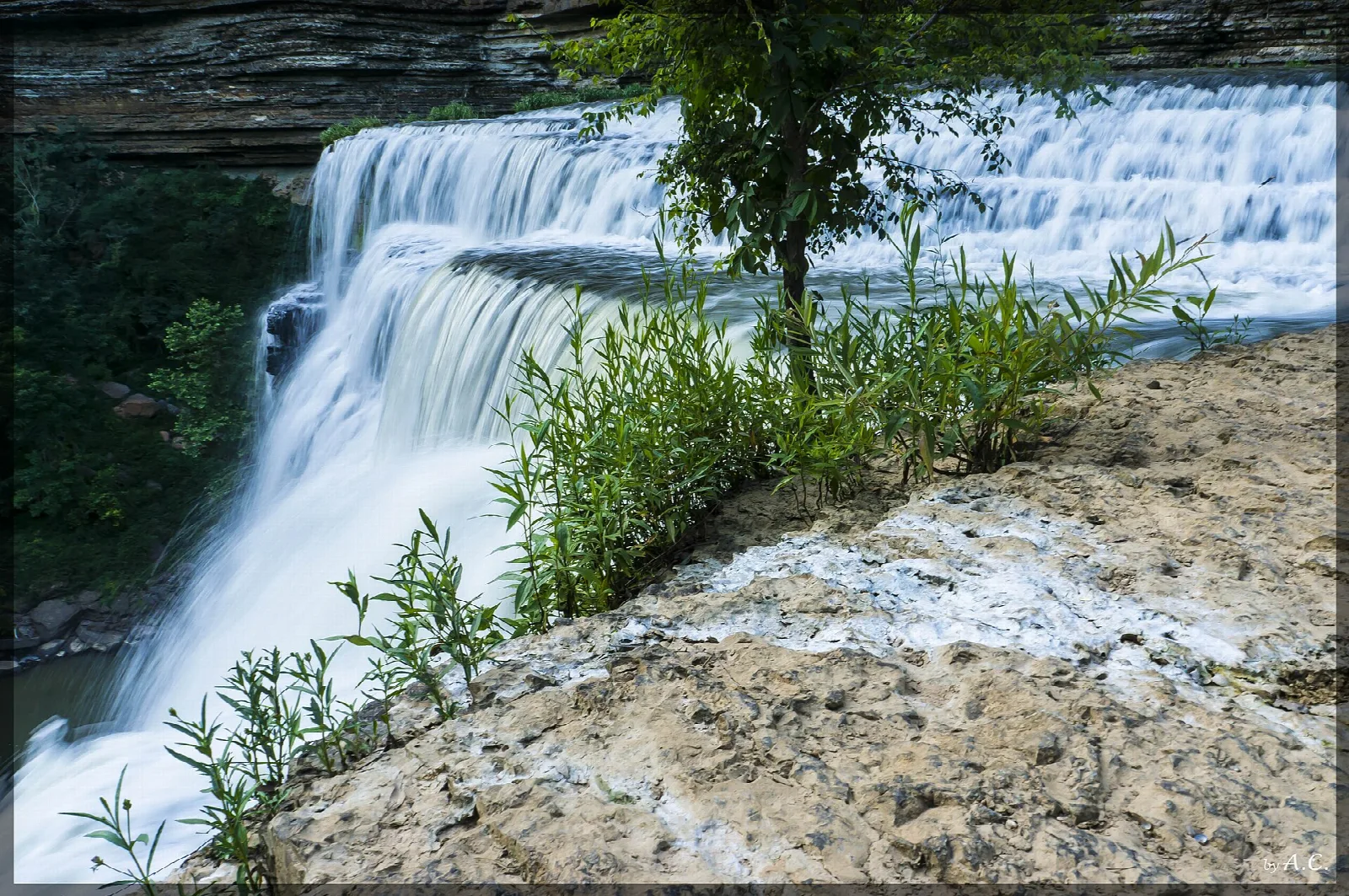 Waterfall pouring over a rock ledge with green plants in front