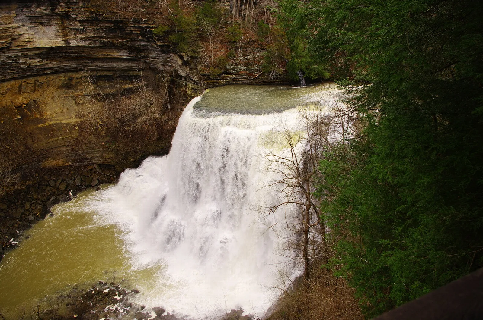 Wide waterfall falling into a gorge lined with trees