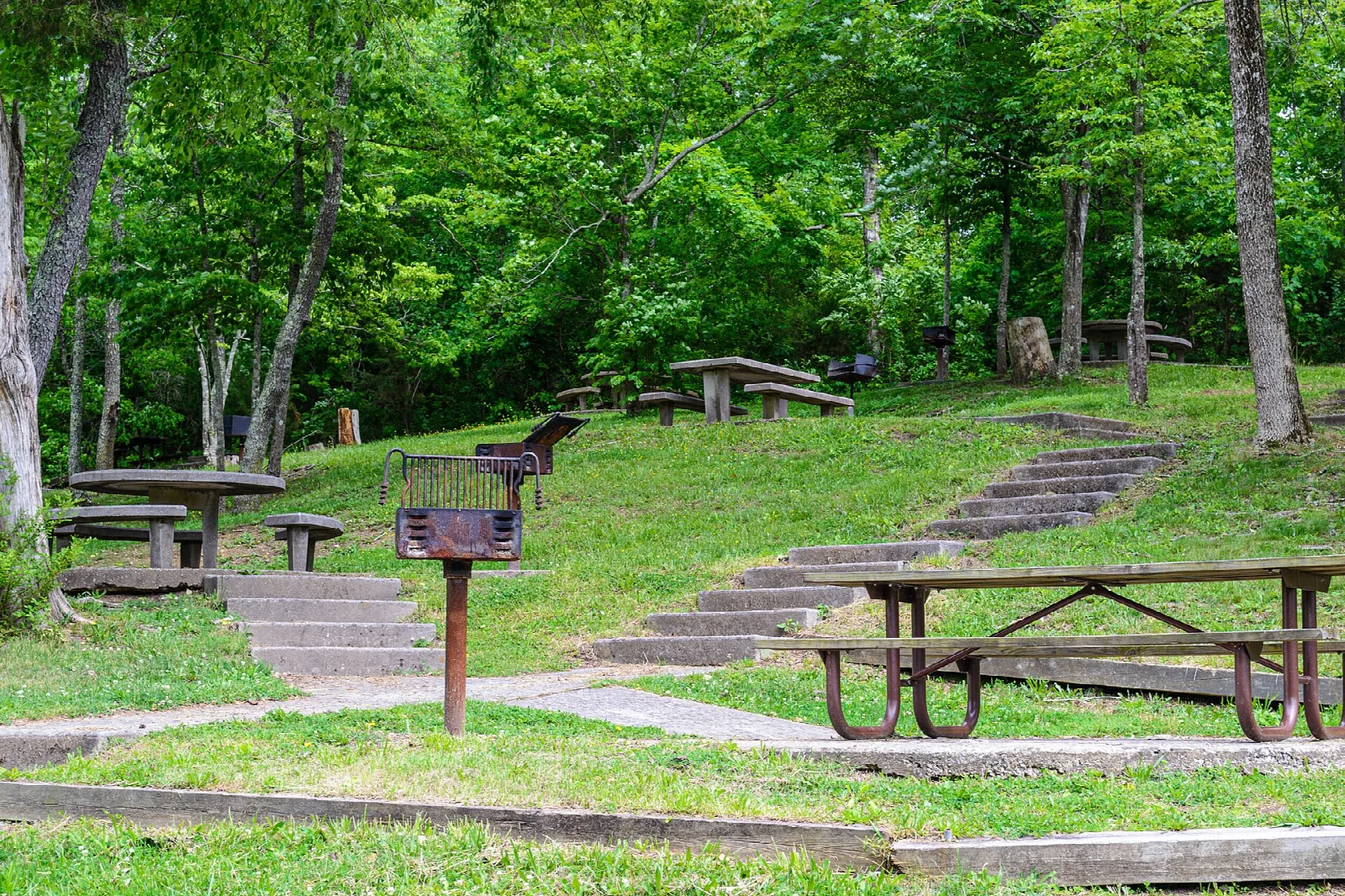 Picnic tables and stone steps on a grassy slope under trees